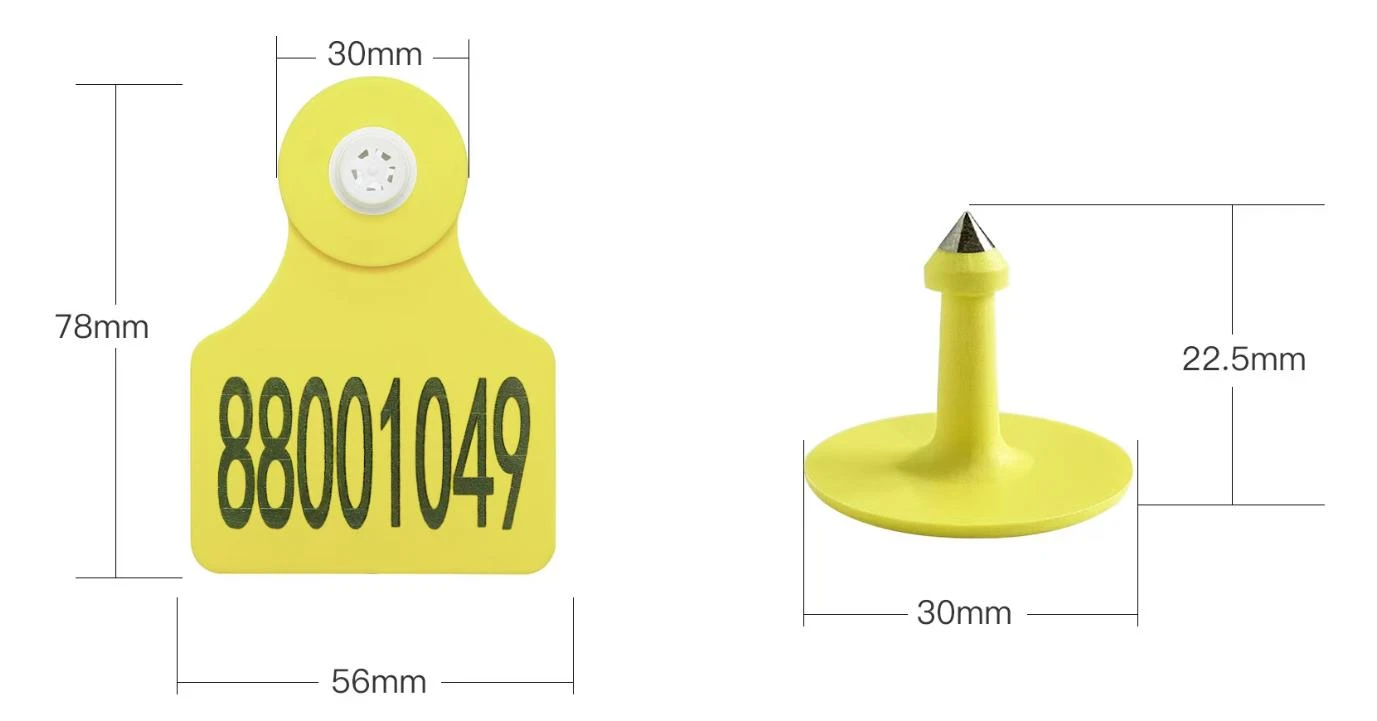 rif03