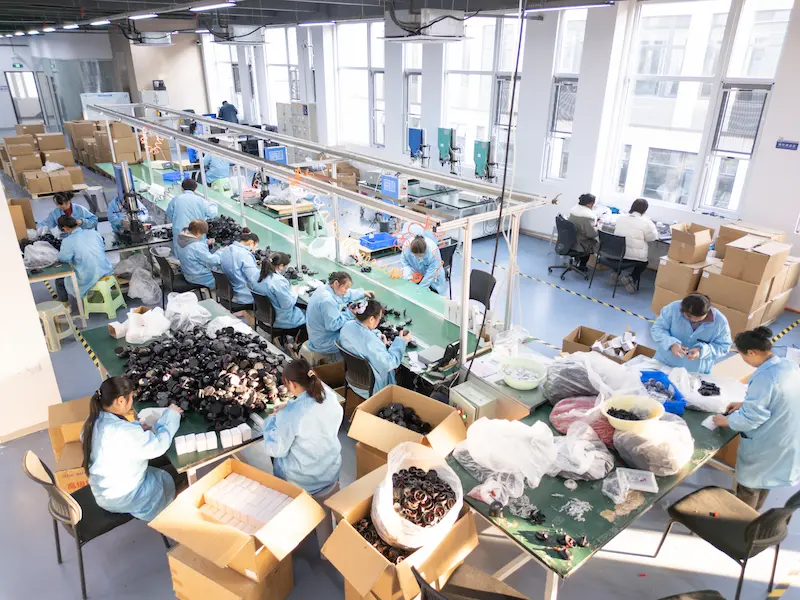 Dragon Guard Production Line